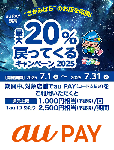 相模原市