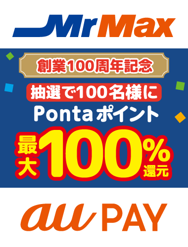 ミスターマックス