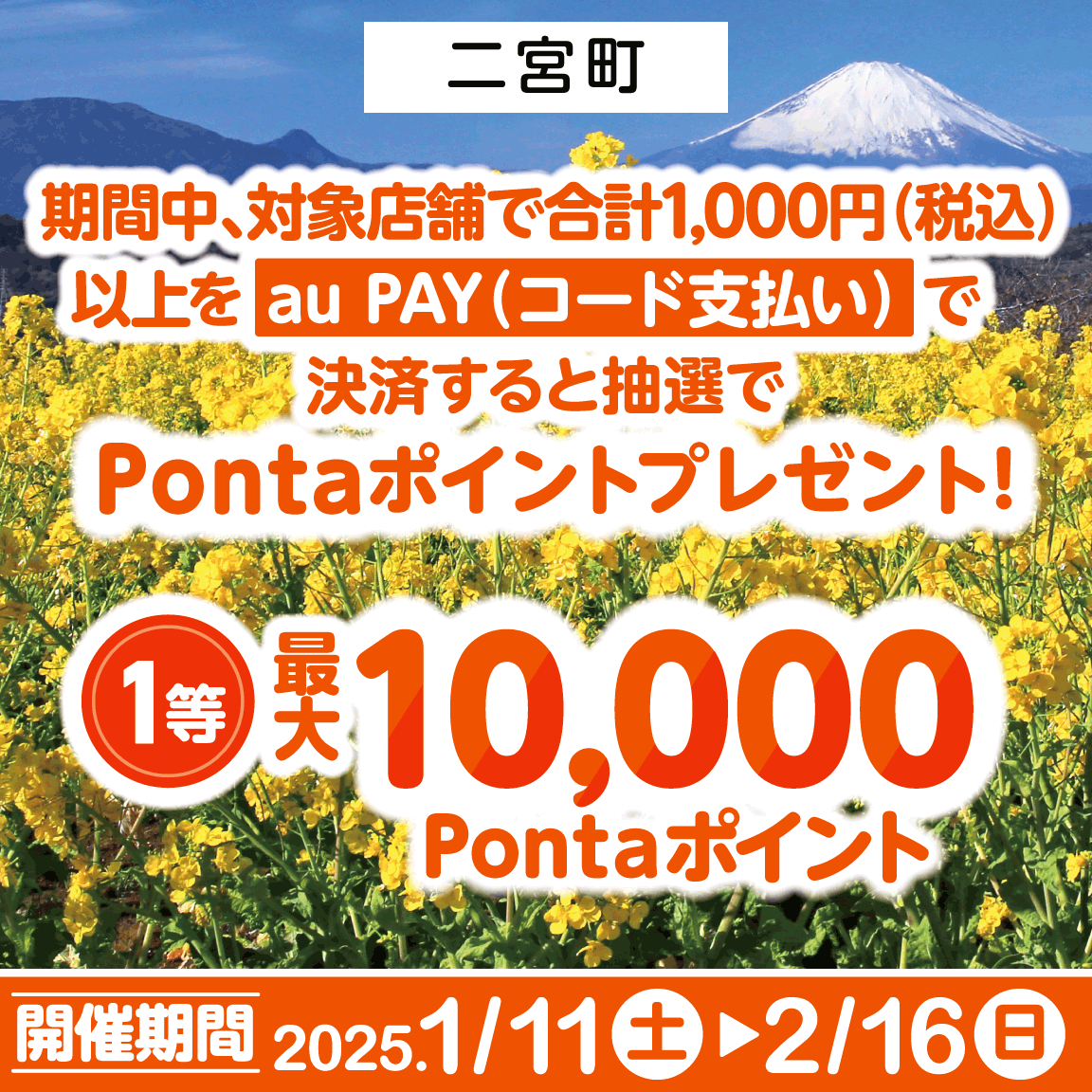 神奈川県二宮町の対象店舗にてau PAY（コード支払い）を利用してお買い物いただくと、抽選でPontaポイントがあたるキャンペーンを実施！キャンペーン期間：2025年1月11日～2月16日