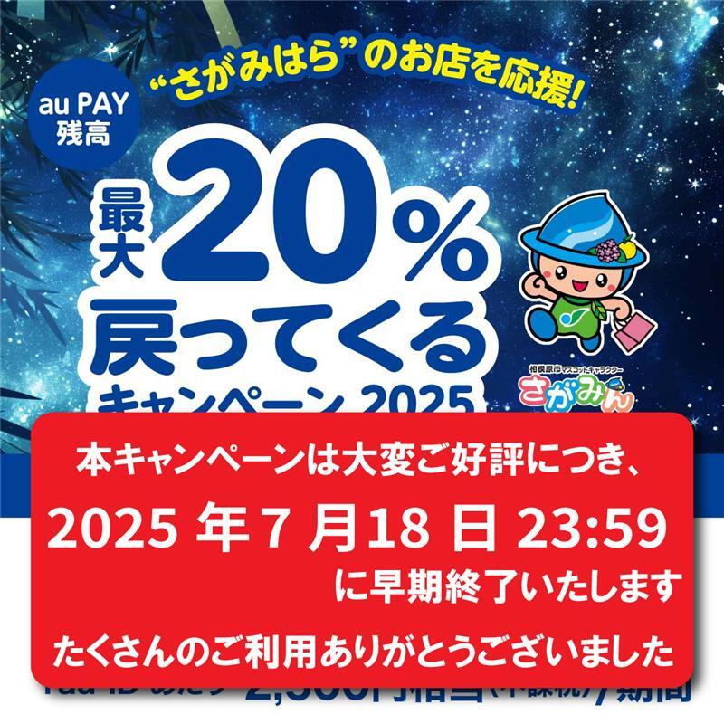 相模原市×au PAYキャンペーン