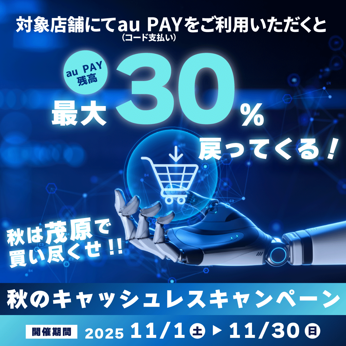 茂原市×au PAYキャンペーン