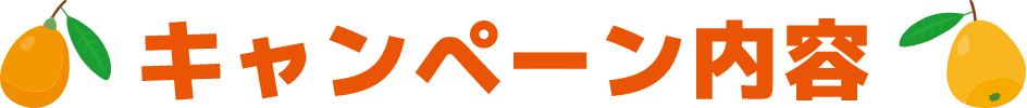 キャンペーン内容
