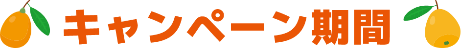 キャンペーン期間