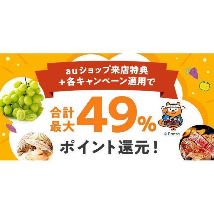 au PAY ふるさと納税、auショップなどではじめて寄附すると12％のPontaポイントを還元するキャンペーンを開催