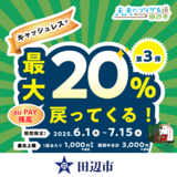 【自治体キャンペーン】和歌山県 田辺市の対象店舗でau PAYを使うとお支払いの最大20％が戻ってくる（2025年6月1日～）