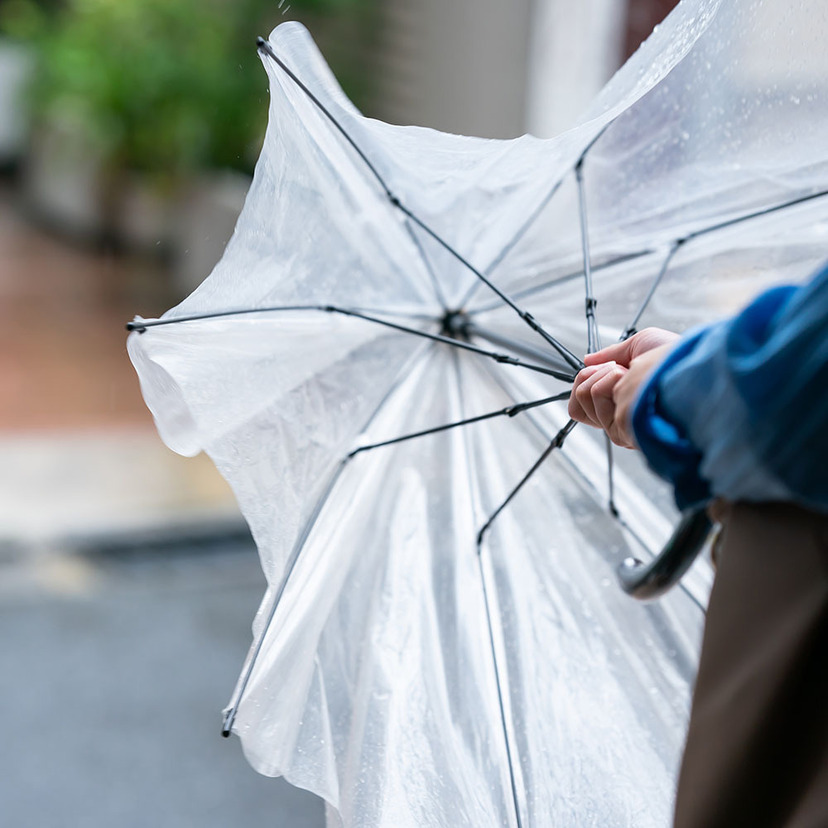 いま見直したい店舗の台風対策！ハード・ソフト面から備える実践ポイント