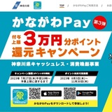 かながわPayポイント使えます/Saiカロタチェア/7カ月～4歳