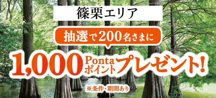 ビックカメラ、コジマ、ソフマップでのお買い物で抽選で10,000名様に最大10万Pontaポイントをプレゼント（2024年6月21日～）