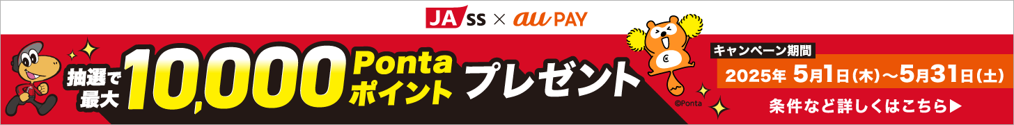 JA-SS × au PAY